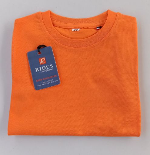 Picture of MDL03185 :: Size:4-5 Years :: Boys T-Shirts